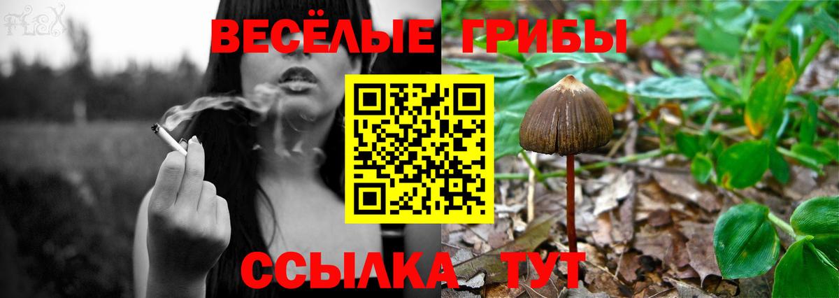 Галлюциногенные грибы Cubensis  Псилоцибиновые грибы ЛСД  Вход с VPN  Кириши 